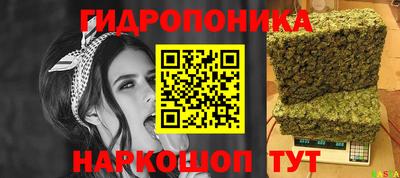 твердый Можга