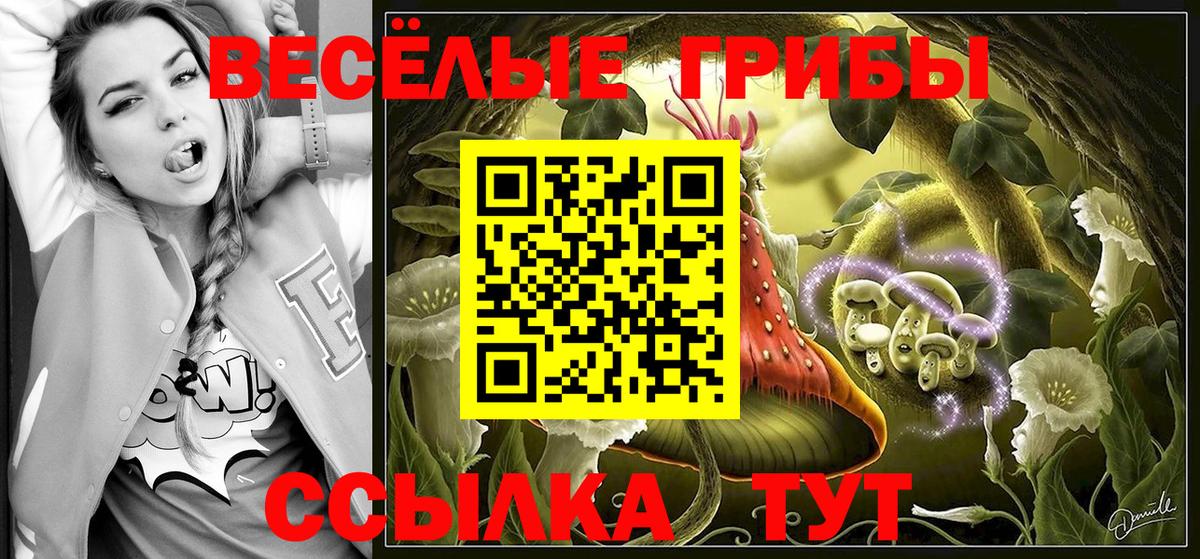 Псилоцибиновые грибы прущие грибы  Псилоцибиновые грибы Magic Shrooms  Гагарин 